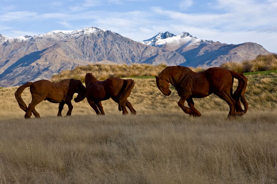 New Zealand, photo 17