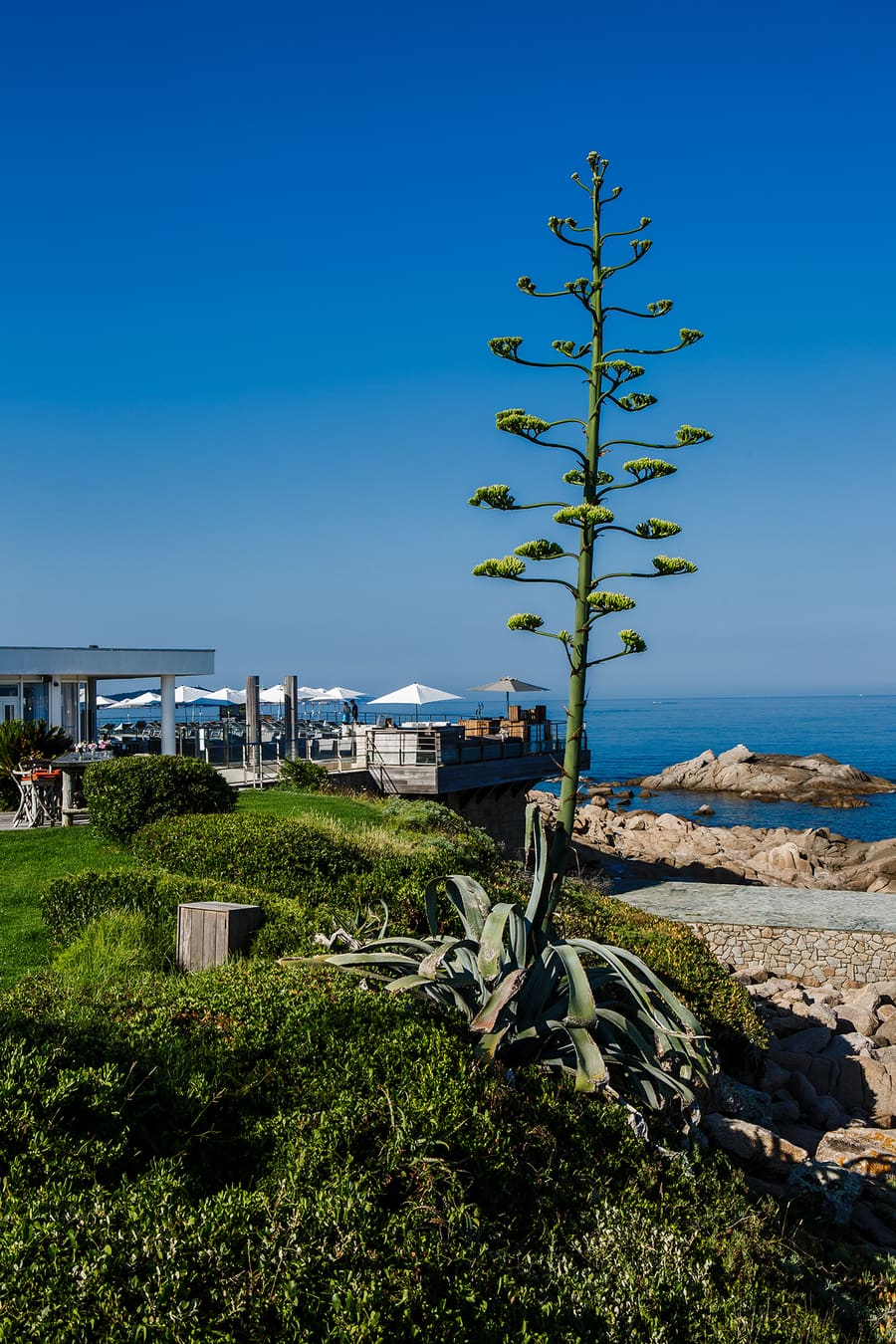 Sofitel Porticcio, photo 4