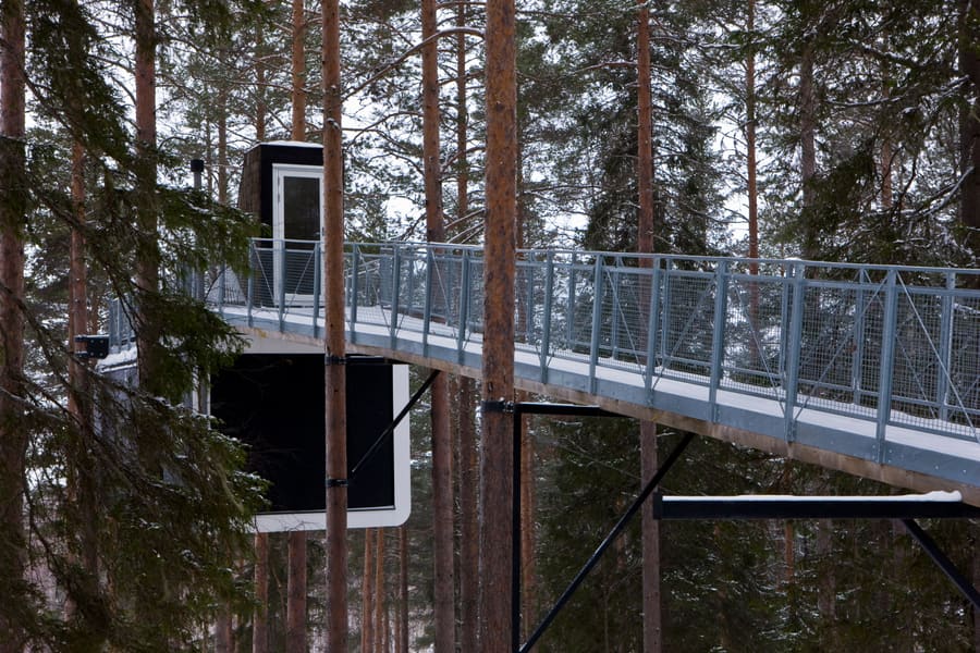 Tree Hotel, photo 5