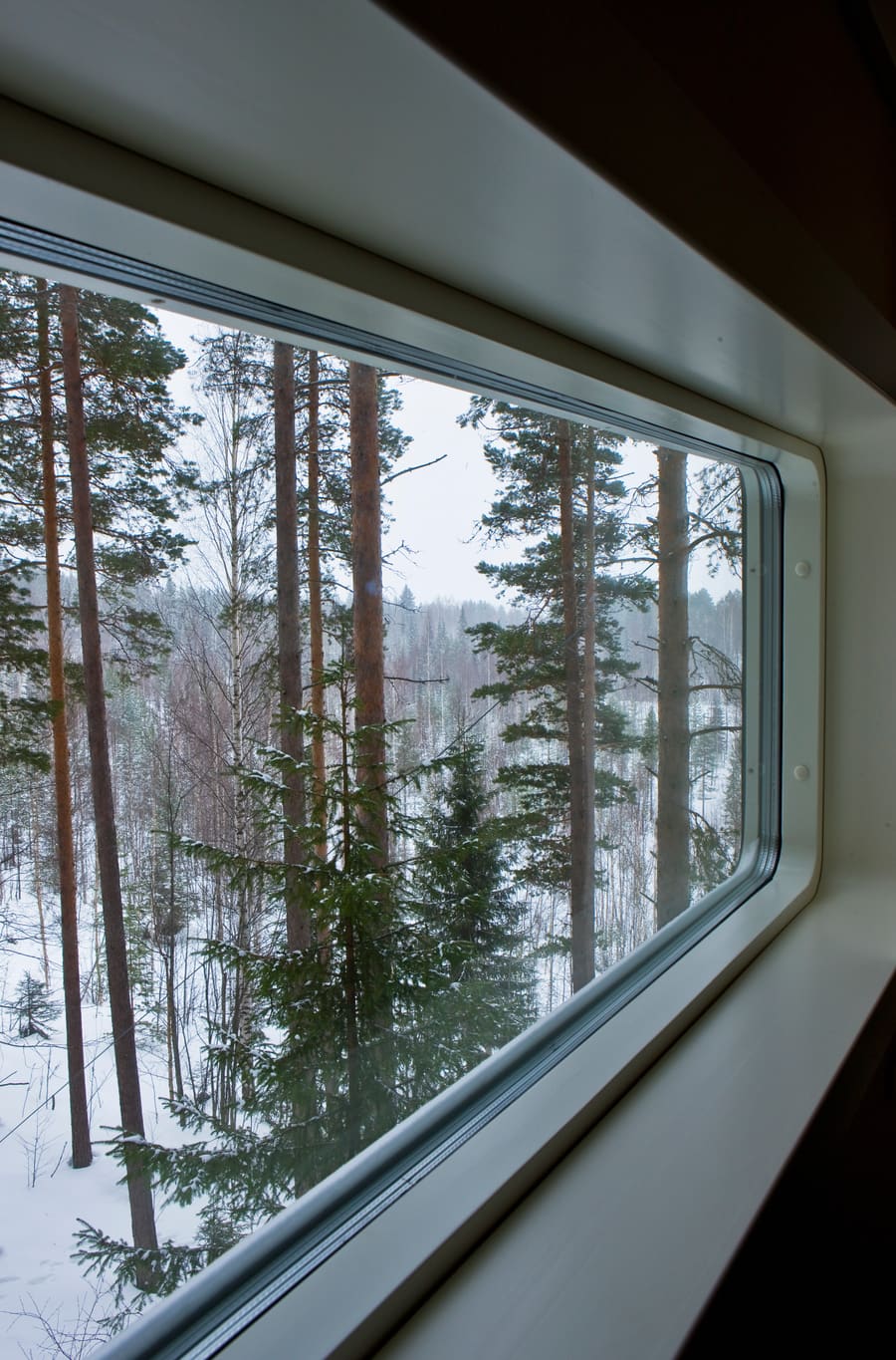 Tree Hotel, photo 8