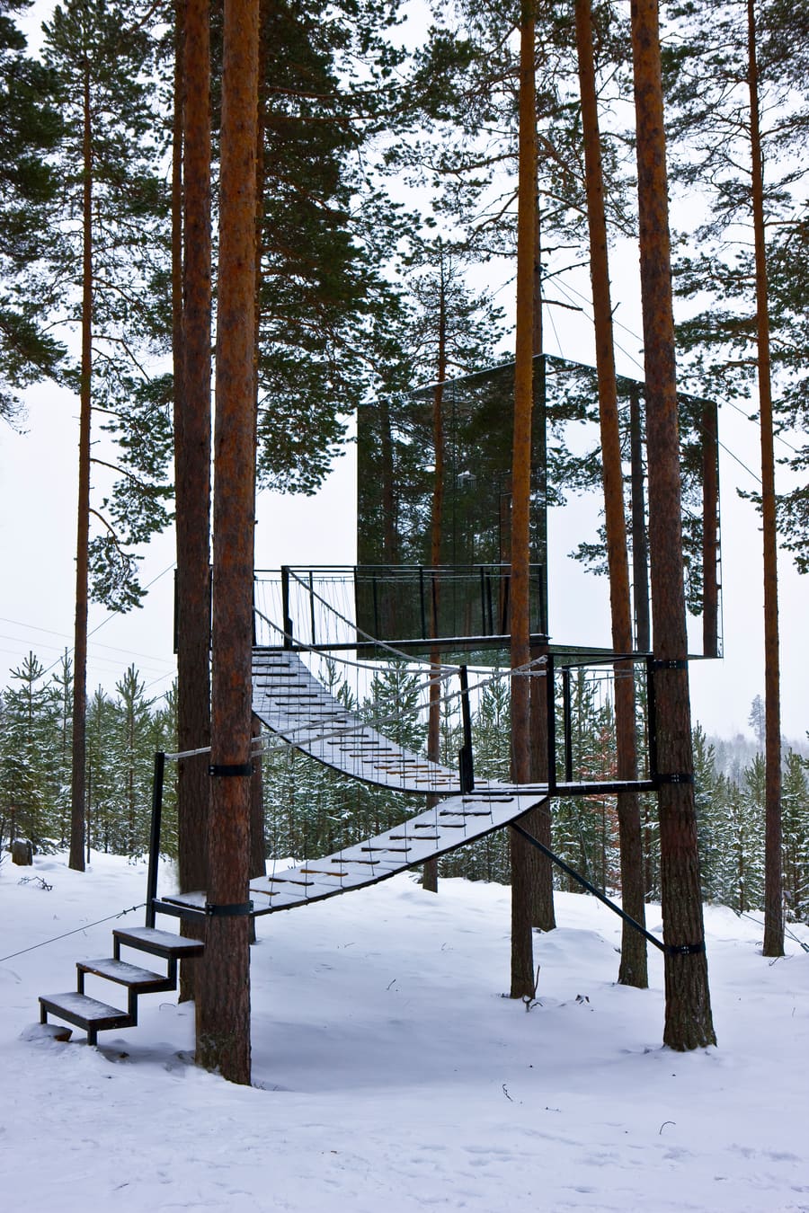 Tree Hotel, photo 10