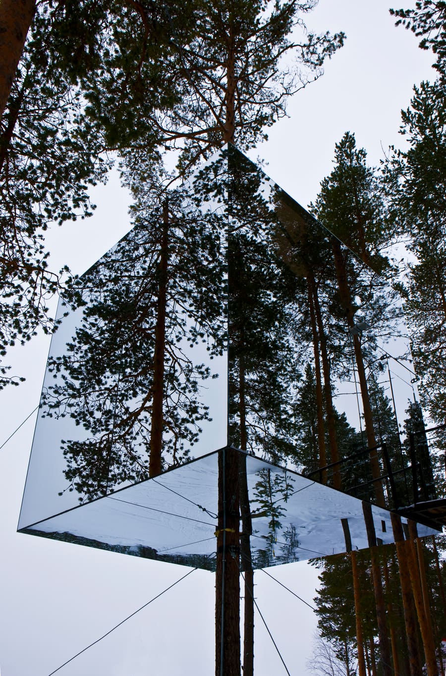 Tree Hotel, photo 11
