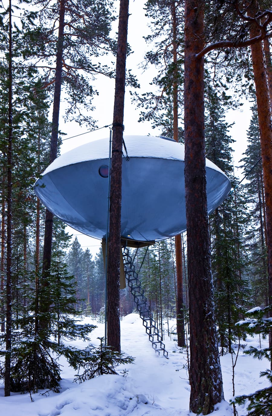 Tree Hotel, photo 12