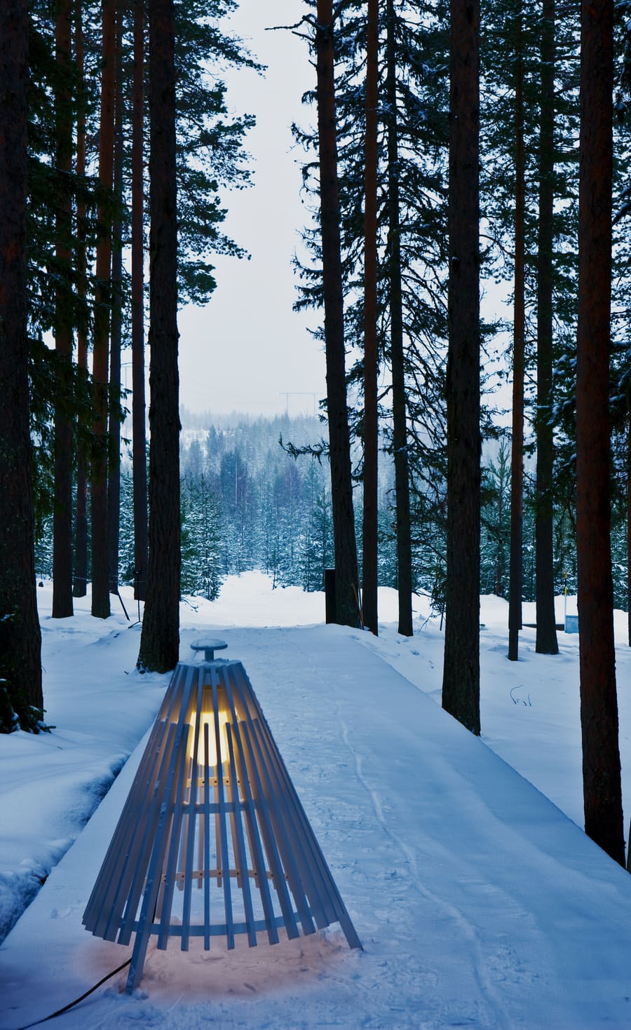 Tree Hotel, photo 13
