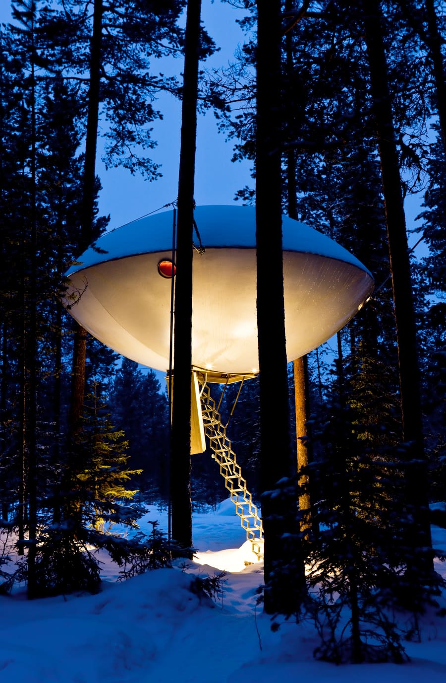Tree Hotel, photo 14