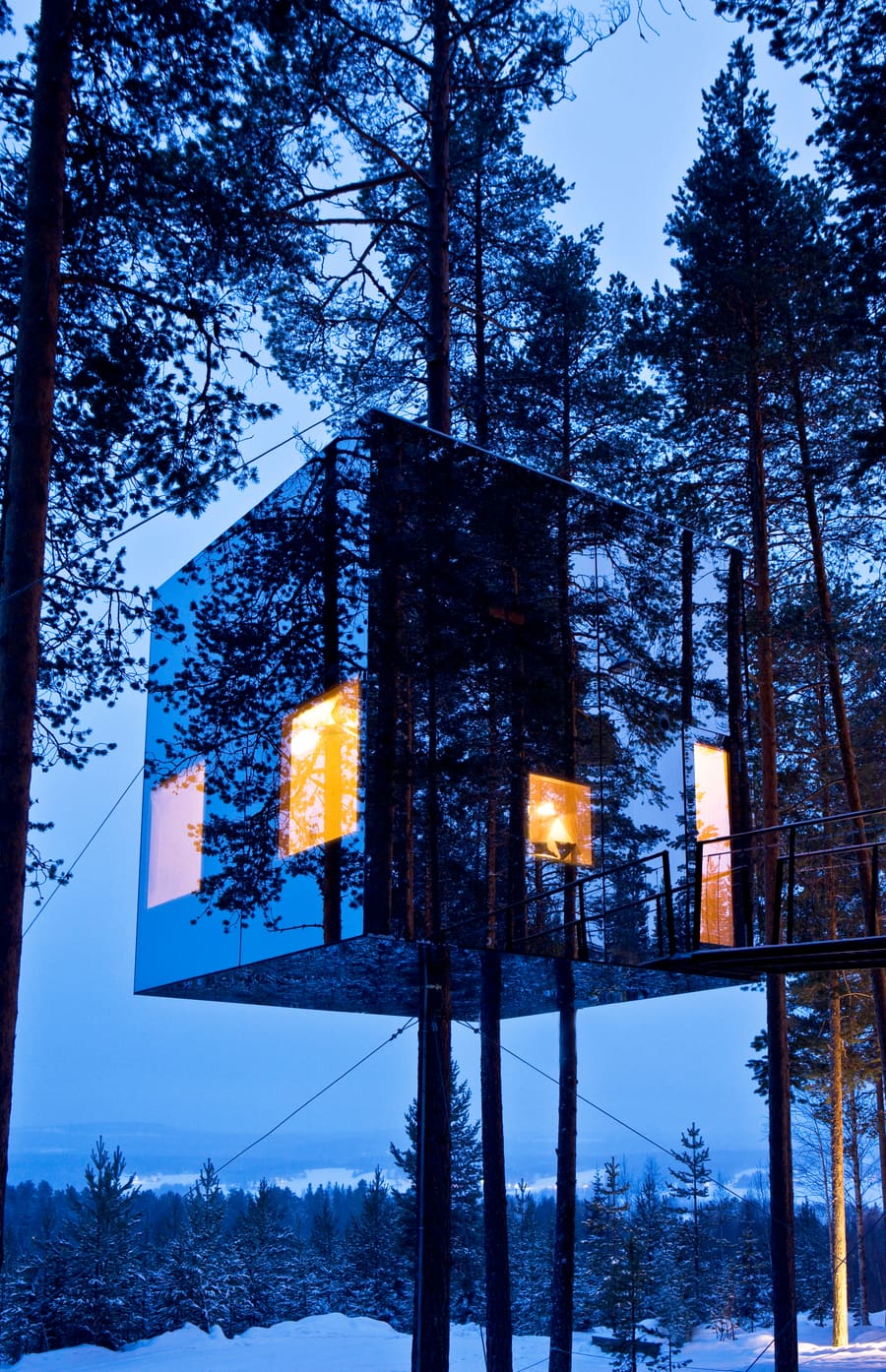 Tree Hotel, photo 15
