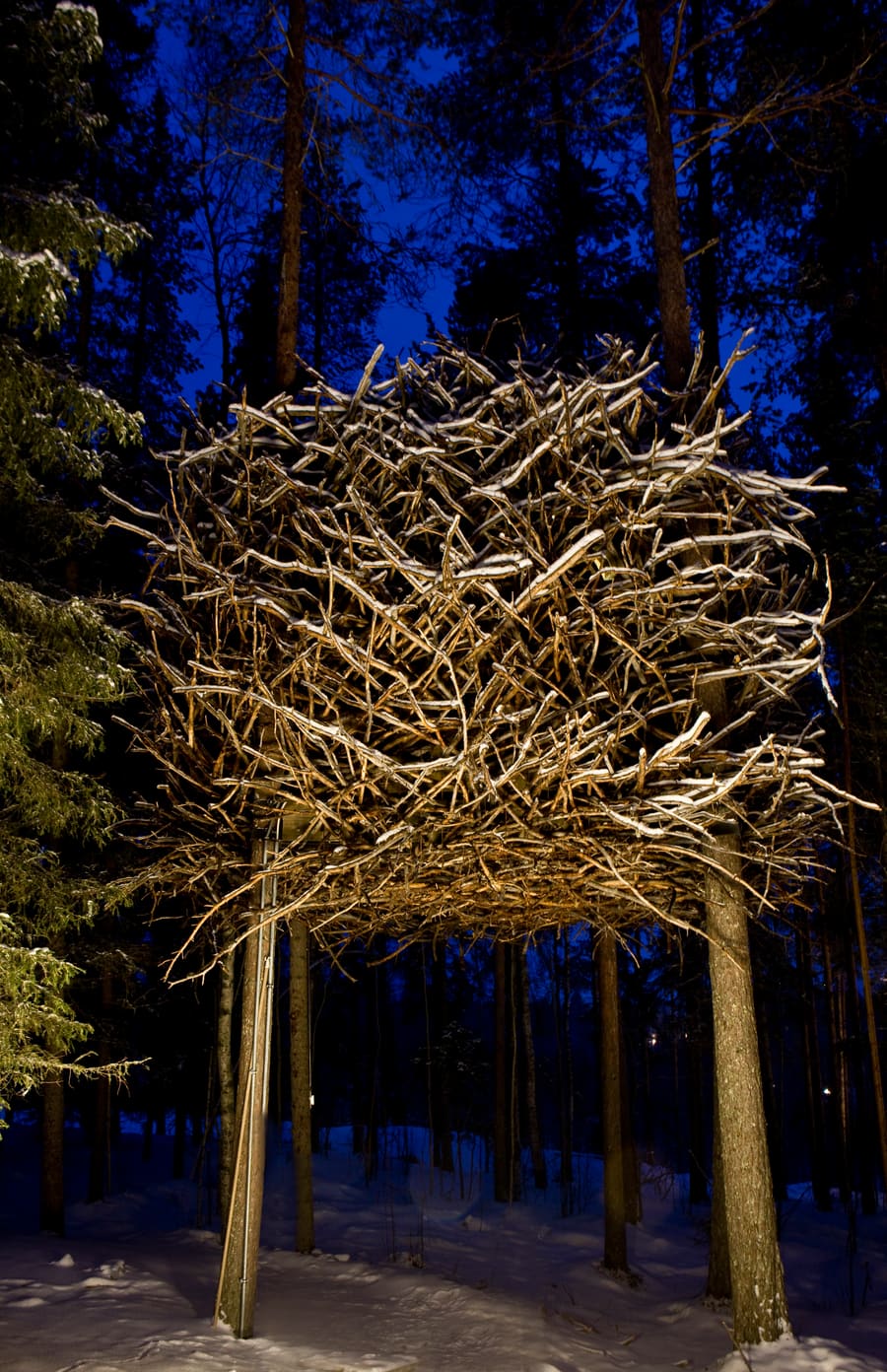 Tree Hotel, photo 16